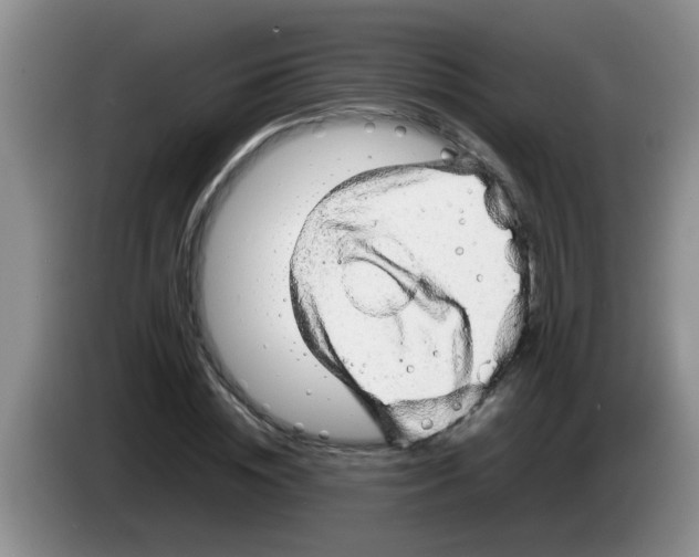 X0000083580828200703091656