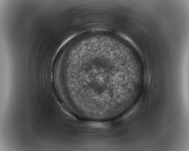 X0000083580829200703091656