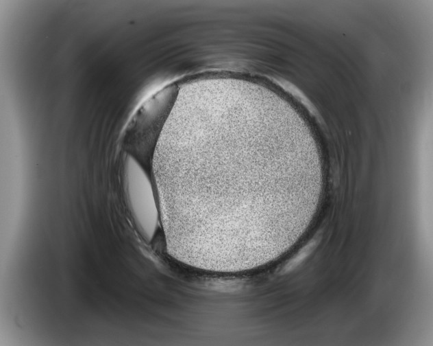 X0000083580830200703091656