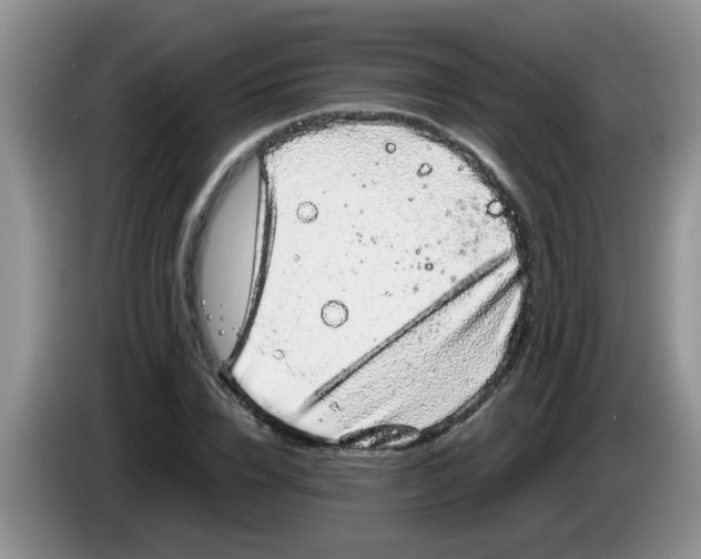 X0000083580832200703091656