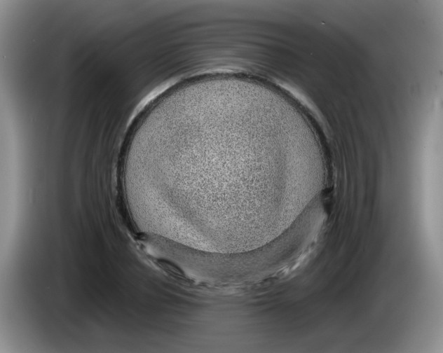 X0000083580834200703091656