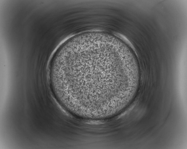 X0000083580835200703091656