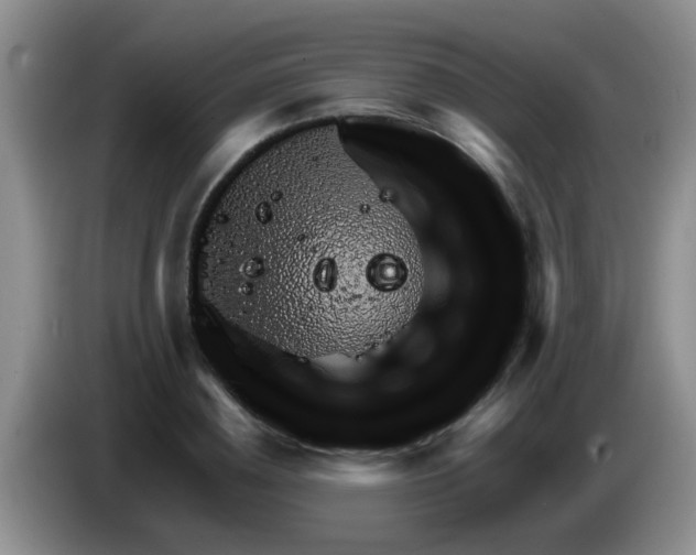 X0000083580836200703091656