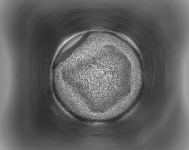 X0000083580839200703091657