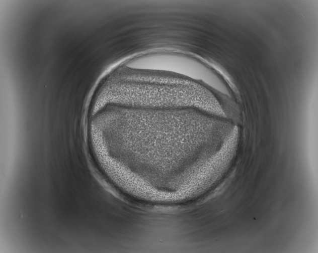 X0000083580840200703091657