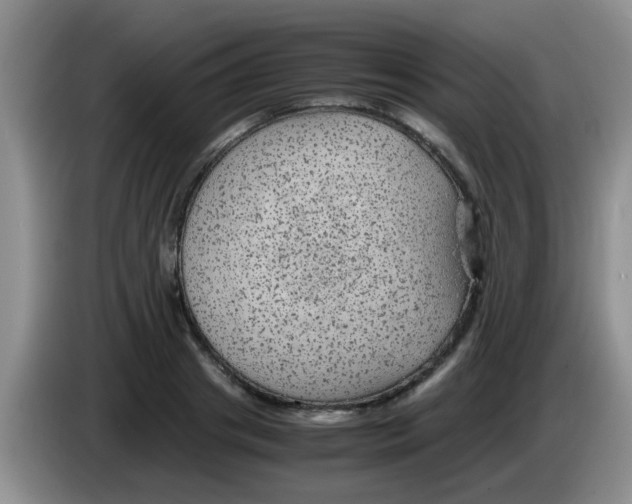 X0000083580841200703091657