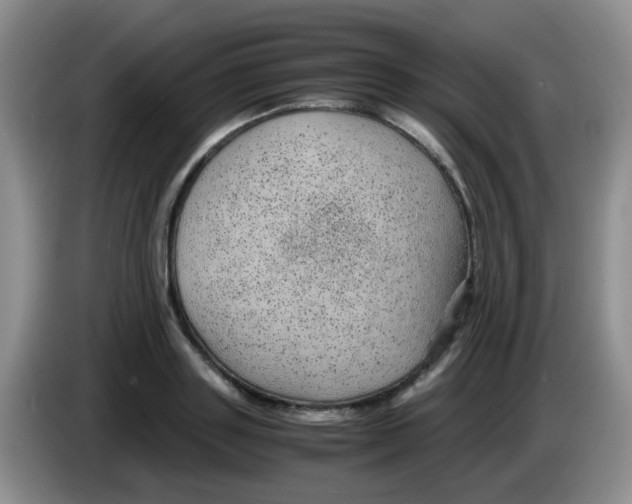 X0000083580843200703091657