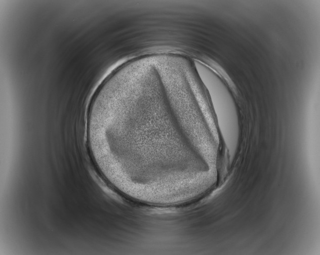 X0000083580844200703091657