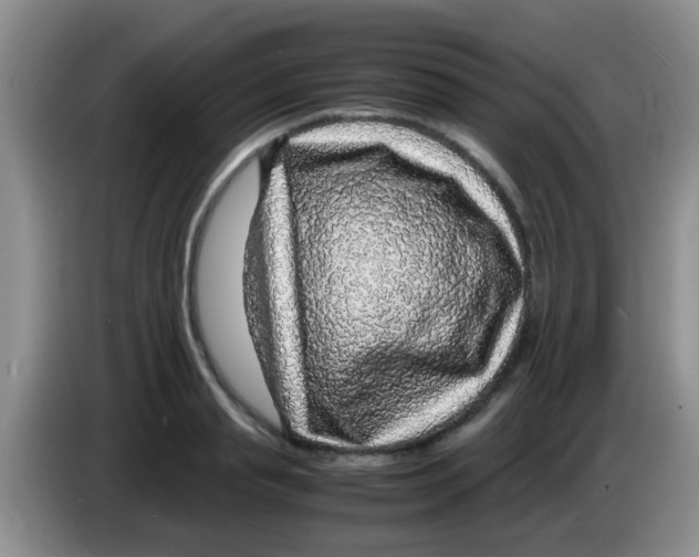 X0000083580845200703091657