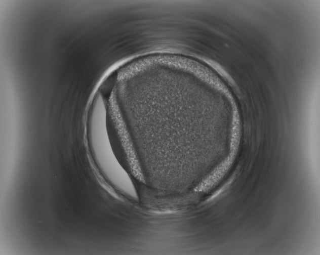 X0000083580846200703091657