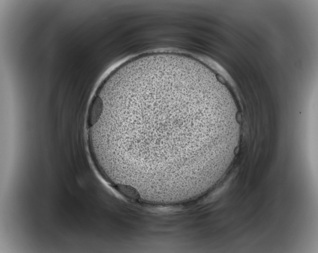 X0000083580847200703091657