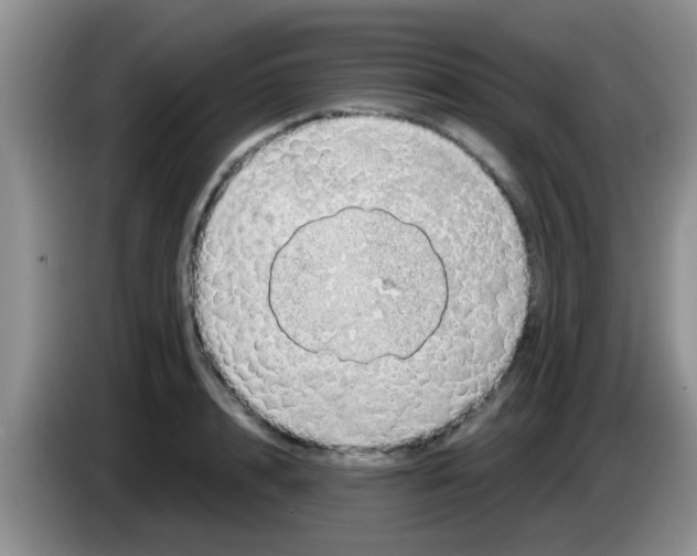 X0000083580848200703091657