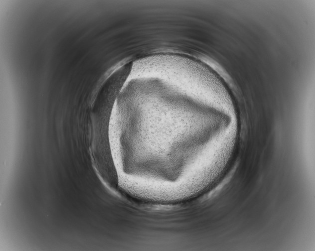 X0000083580849200703091657