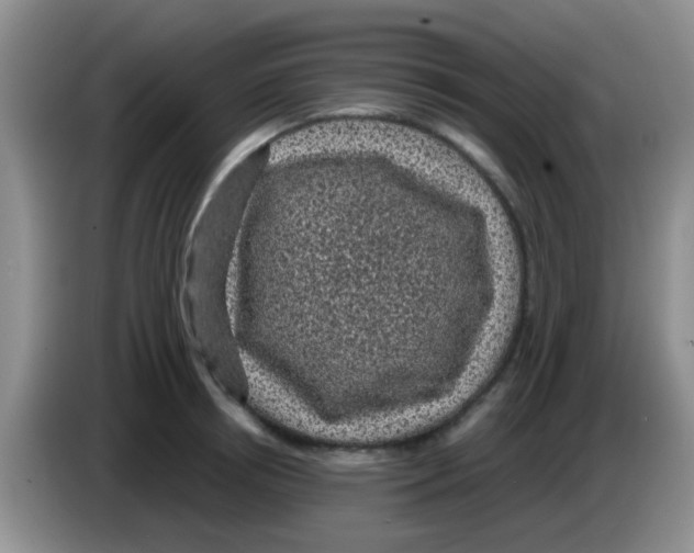 X0000083580850200703091657