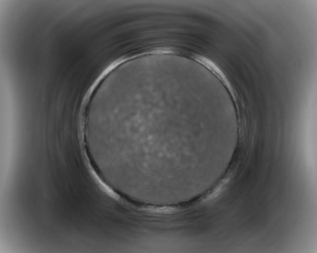 X0000083580851200703091657