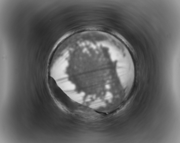 X0000083580853200703091657