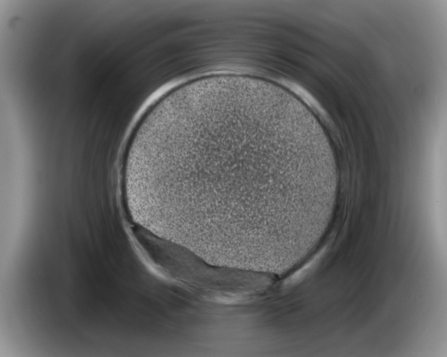 X0000083580854200703091657