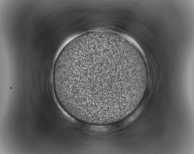 X0000083580855200703091657