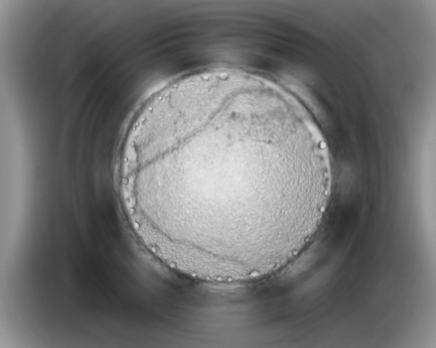 X0000083580856200703091657
