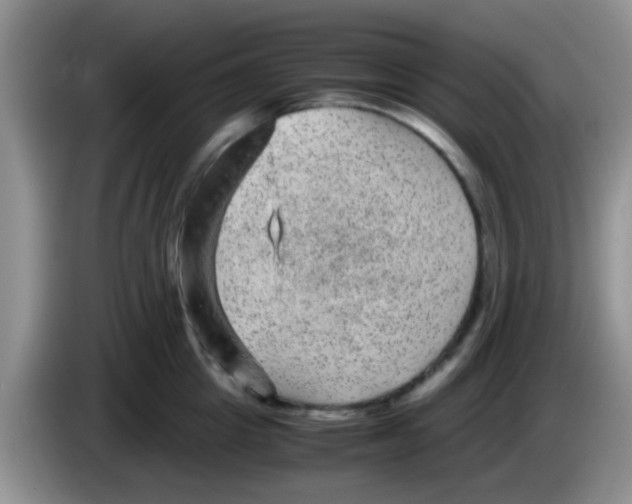 X0000083580857200703091657