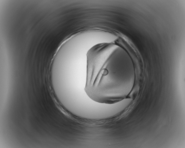 X0000083580858200703091657