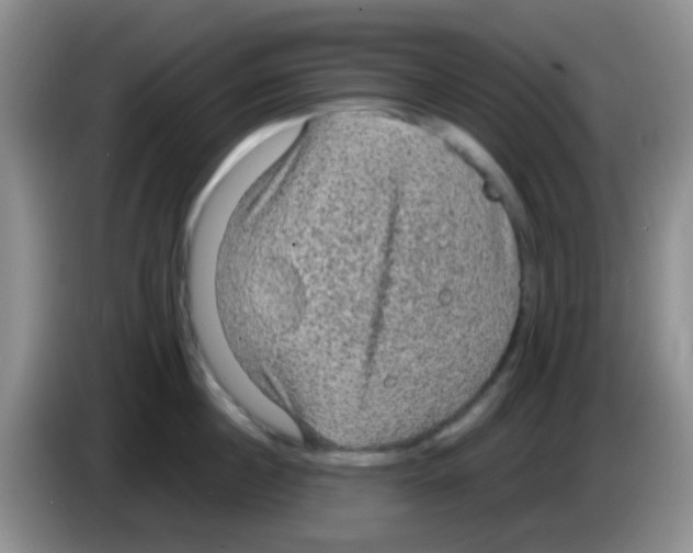 X0000083580860200703091657