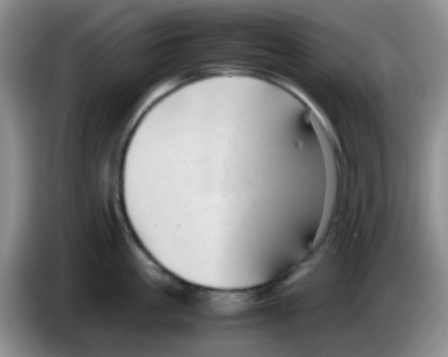 X0000083580861200703091657