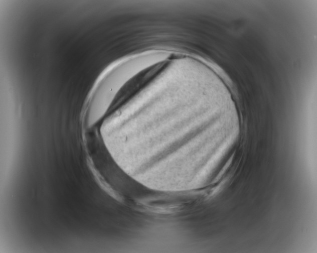 X0000083580862200703091657