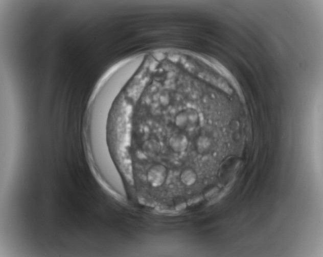 X0000083580863200703091657