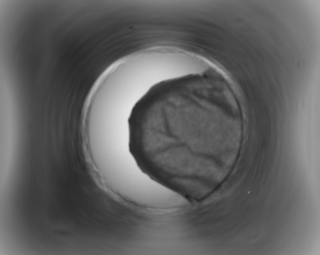 X0000083580864200703091657