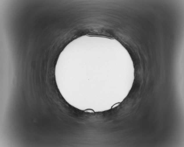 X0000083580865200703091656
