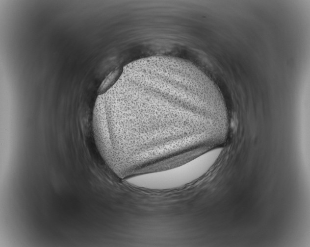 X0000083580867200703091656