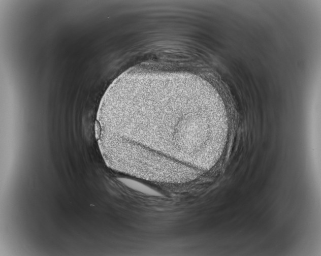 X0000083580868200703091656