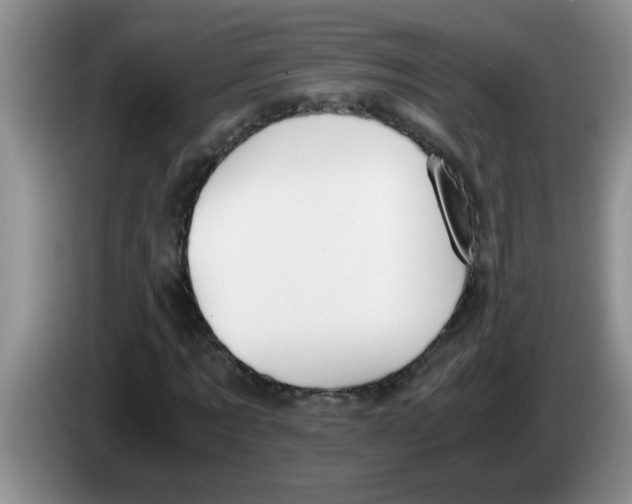 X0000083580869200703091656