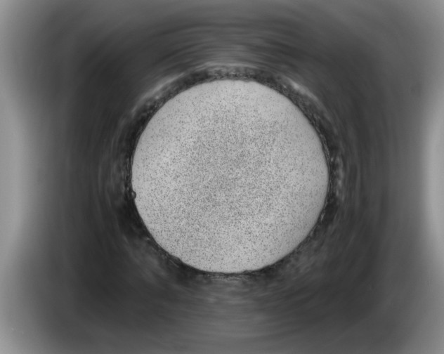 X0000083580870200703091656