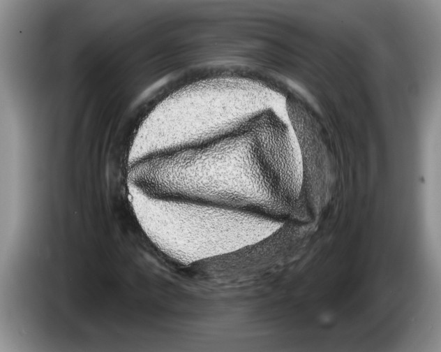 X0000083580872200703091656