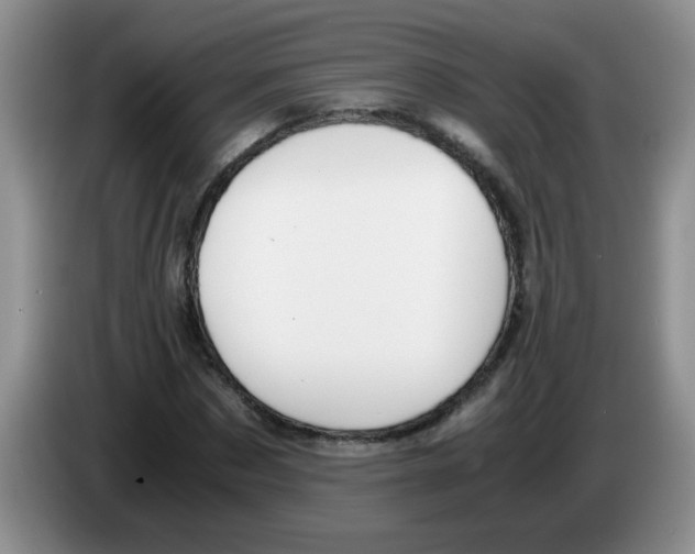 X0000083580873200703091656