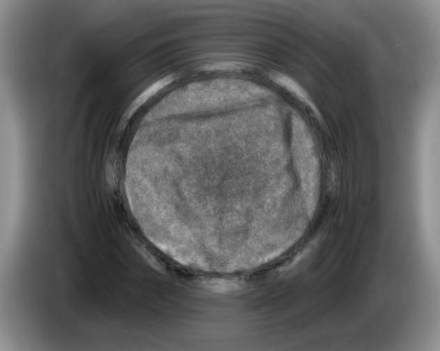 X0000083580874200703091656