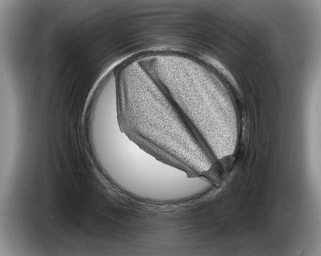 X0000083580876200703091656