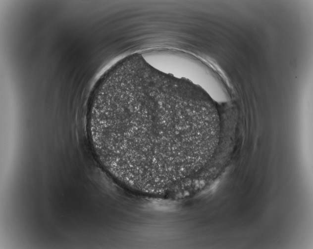 X0000083580877200703091656