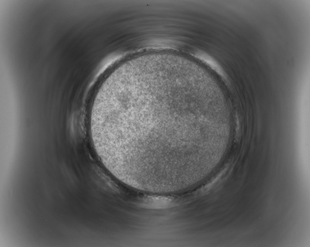 X0000083580878200703091656