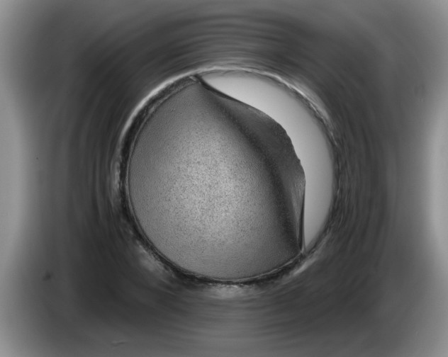 X0000083580880200703091656