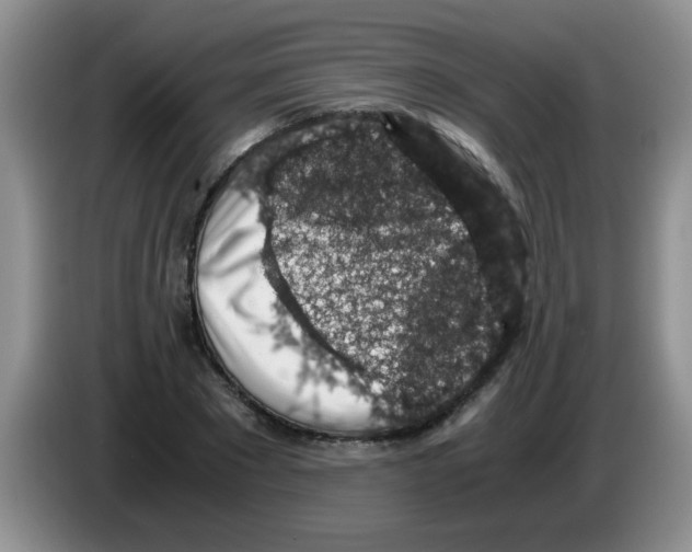 X0000083580881200703091656