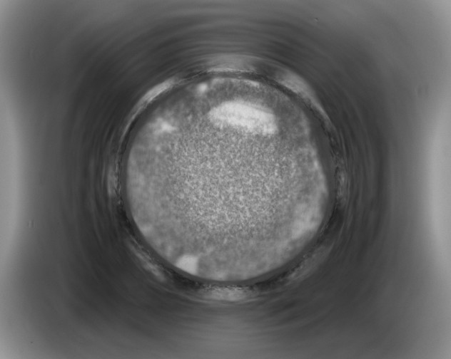 X0000083580882200703091656