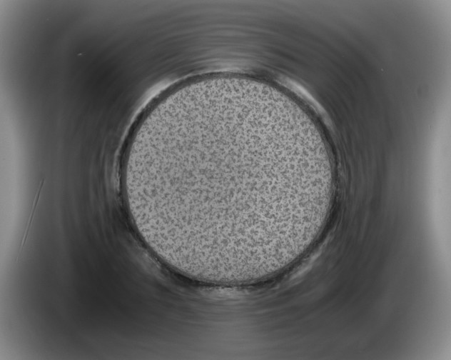 X0000083580883200703091656