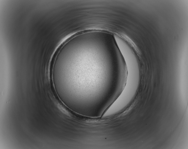 X0000083580884200703091656