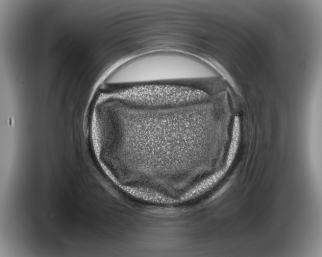 X0000083580885200703091656