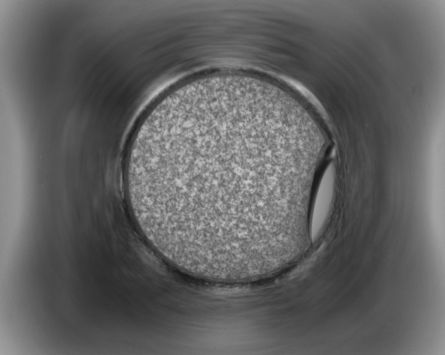 X0000083580887200703091656