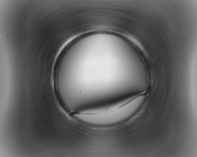 X0000083580888200703091656