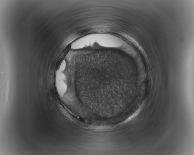 X0000083580889200703091656